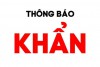 Thông báo khẩn của Sở Y tế Bình Định (ngày 07/02/2021)