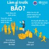 Làm gì trước bão?