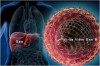 Hưởng ứng Ngày thế giới phòng chống viêm gan vi rút 28/7/2025