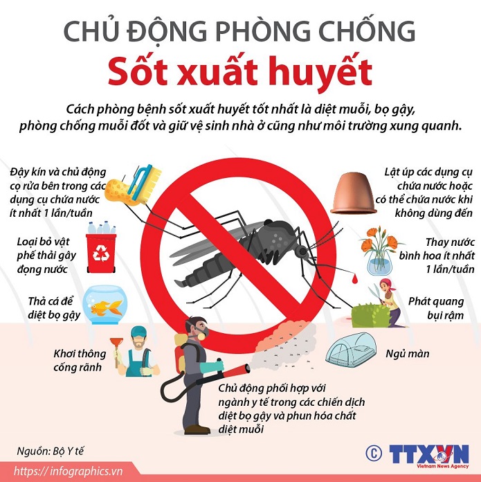 Hưởng ứng Ngày ASEAN phòng chống sốt xuất huyết (15/6):Hành động vì sốt xuất huyết