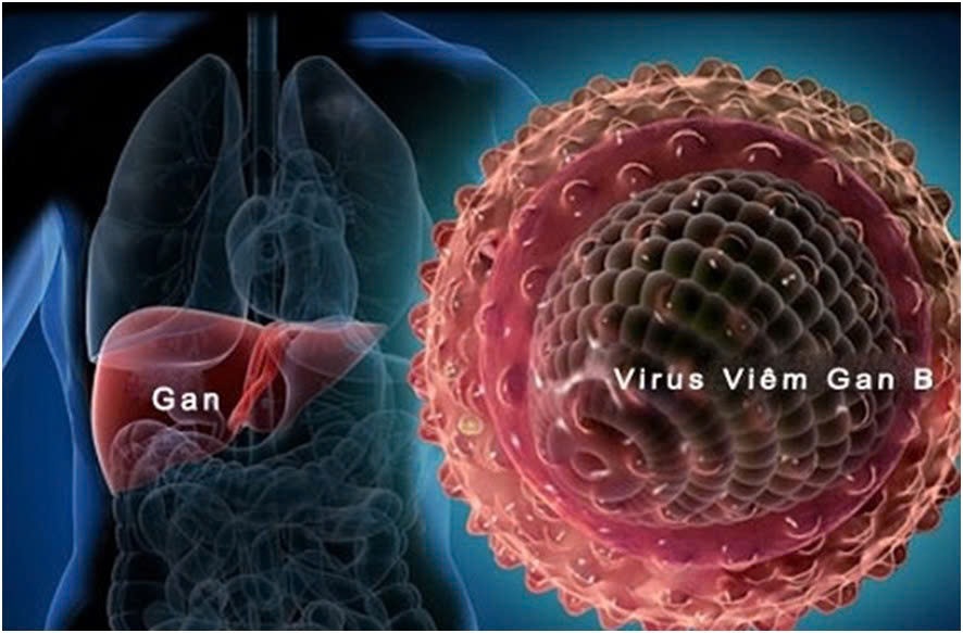 Hưởng ứng Ngày thế giới phòng chống viêm gan vi rút 28/7/2025